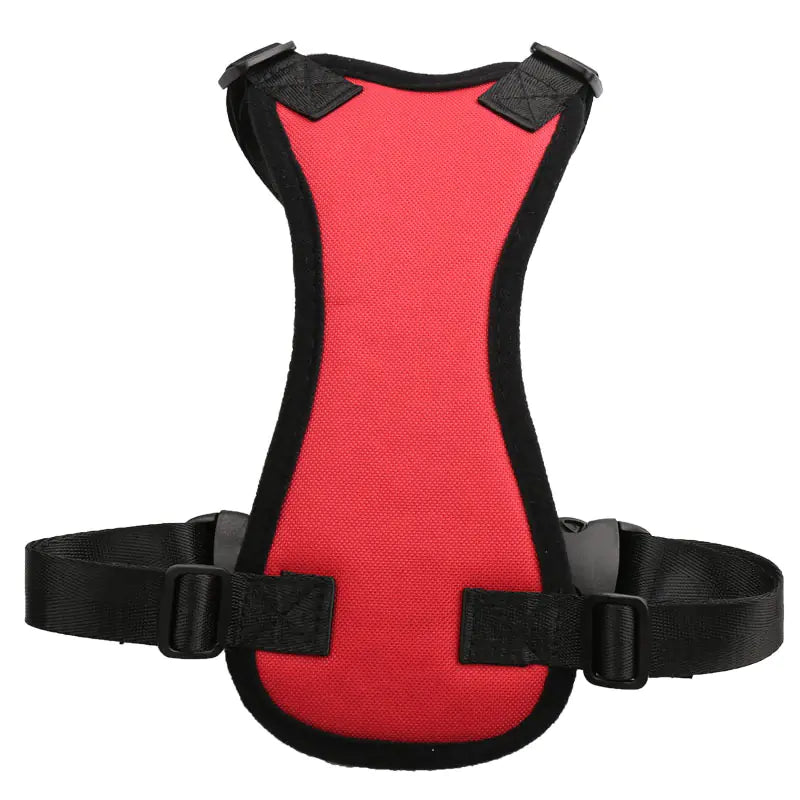 Pet Car Harness for Medium Dogs - Safety Seat Belt