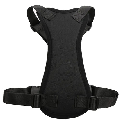 Pet Car Harness for Medium Dogs - Safety Seat Belt